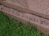 image of grave number 946818